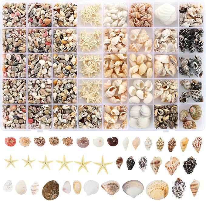Zefy 23 Types Small Sea Shells for Crafts, 1200 Pcs Tiny Seashells | Shells with Mixed Size Starfish, Mini Shells for Vase Filler Beach Theme Party Home Decor
