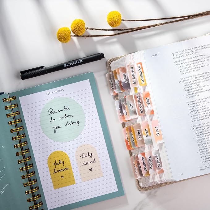 DiverseBee Transparent Sticky Notes Set with Quick Dry Pen (Matera)