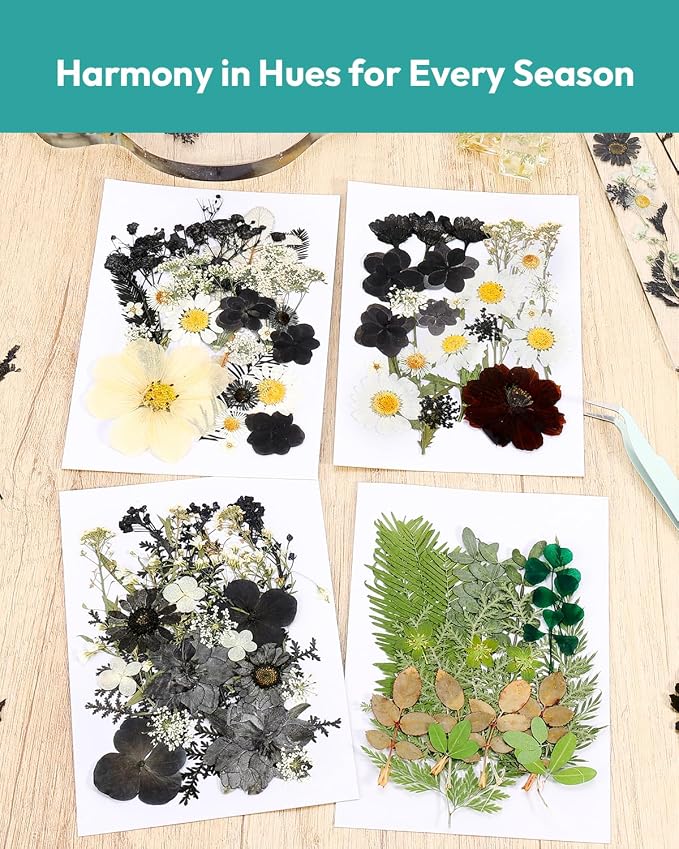 Dried Flowers, Resiners 100Pcs Pressed Flowers for Craft Black Real Natural Dried Flowers Dry Leaves Kit for DIY Making Crafts Resin Soap Candle Scrapbook Supplies Card Making Jewelry