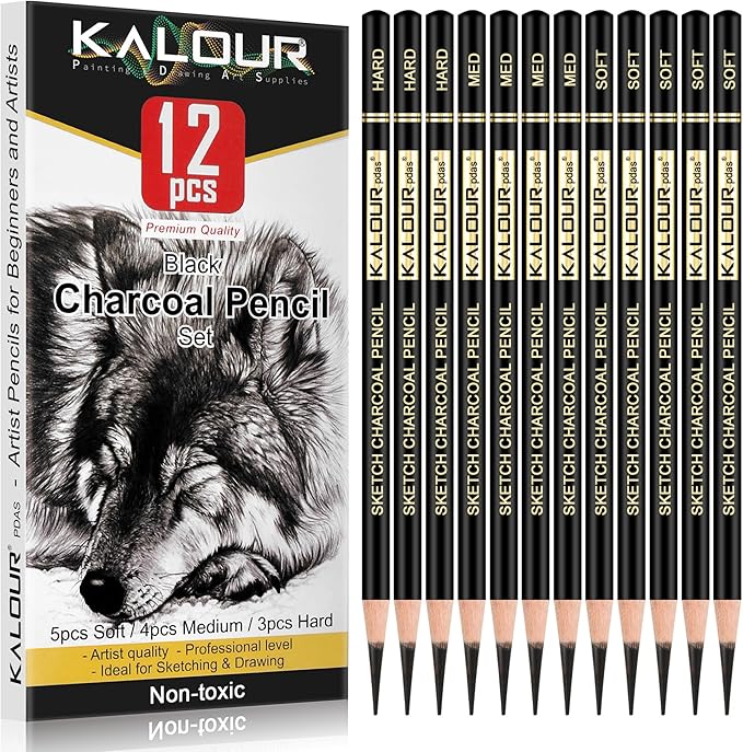 KALOUR Professional Charcoal Pencils Drawing Set -12 Pieces Soft, Medium and Hard Charcoal Pencils for Drawing, Sketching, Shading, Artist Pencils for Beginners & Artists