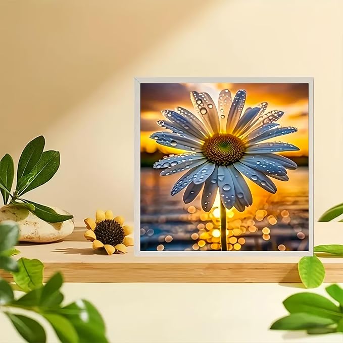 5D Diamond Painting Kit, DIY Diamond Painting Kits for Beginners, Diamond Art for Adults, Flower Diamond Painting,Daisy Sunset Design, Full Drill, 14x14 Inches
