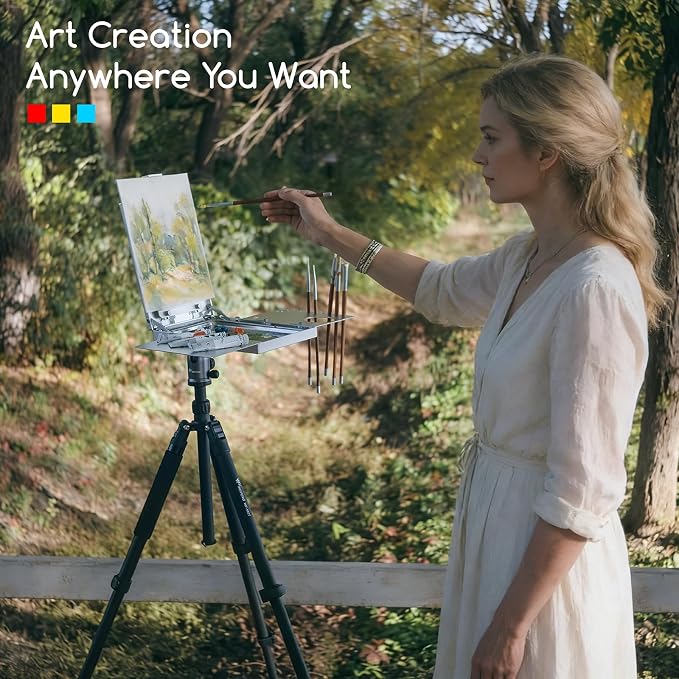 MEEDEN Plein Air Easel for Painting: Aluminum Alloy Sketchbox Easel