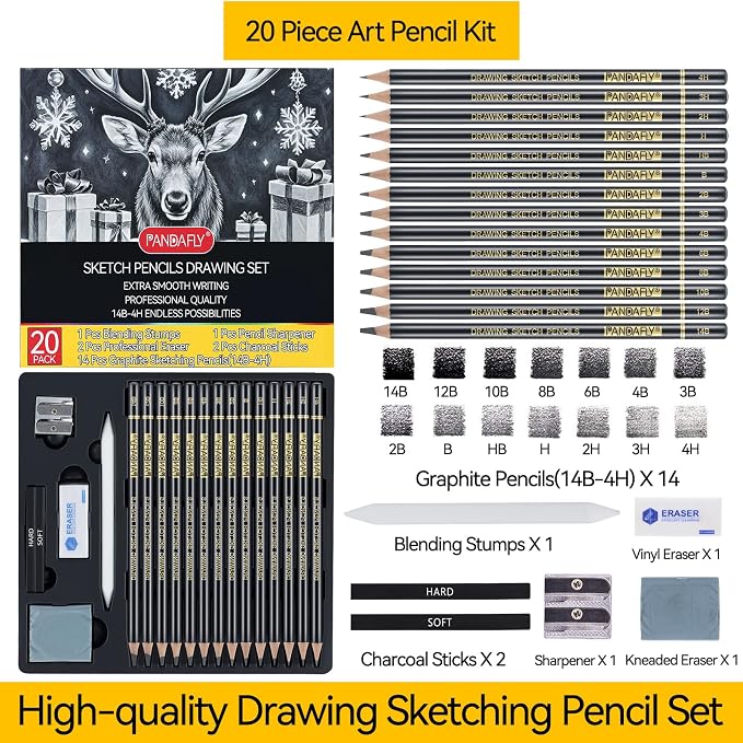 PANDAFLY Drawing Sketching Pencil Set, 20 Piece, 4H-14B Graphite Pencils | Pro Art Pencil Kit with Charcoal Sticks, Erasers, Sharpener, Blending Stump, Artist Pencils For Beginners & Pro Artists