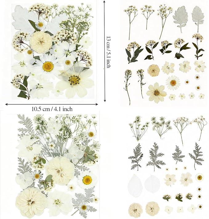 100PCS Stylifeo Natural Dried Pressed Flowers Leaves for Resin Molds Crafts