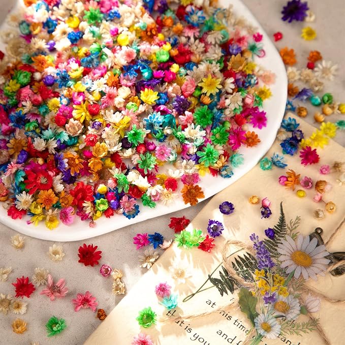 880 PCS Small Dried Flowers for Crafts Resin - Tiny Dried Flowers for Nails, Natural Real Dried Pressed Flowers Bulk for DIY Jewelry Earrings Epoxy Molds, Candles Making, Soap Making