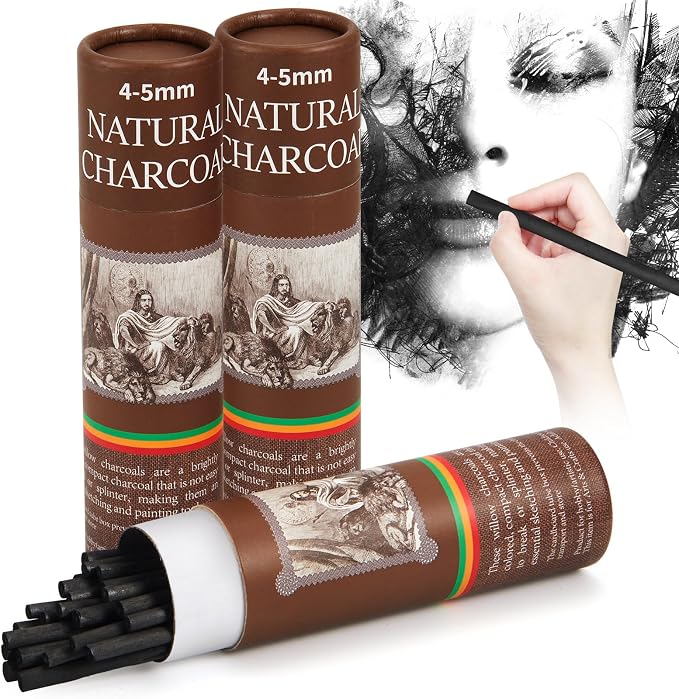 Gueevin 50 Pcs Soft Willow Charcoal Sticks Drawing,4-5mm | For Artists Beginners Students, Vine Charcoal Bulk for Sketching Shading Fine Art, Assorted Sizes, Back to School Gifts
