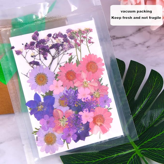 Augshy Dried Pressed Flowers for Resin, Natural Purple Dried Pressed Flowers for Crafts DIY Jewelry Molds, Art Scrapbooking, Candle, Soap Making, Nails Décor