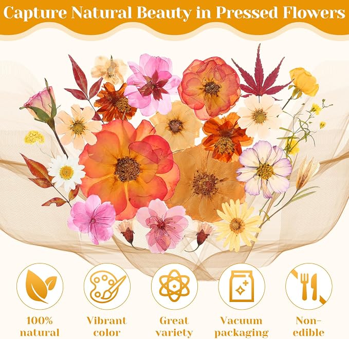 Dried Pressed Flowers for Resin, Real Pressed Flowers Dry Leaves Bulk Natural Herbs Kit for Scrapbooking DIY Art Crafts Epoxy Resin Jewelry Mold Candle Soap Making Nails Décor (Boho Pressed Flowers)