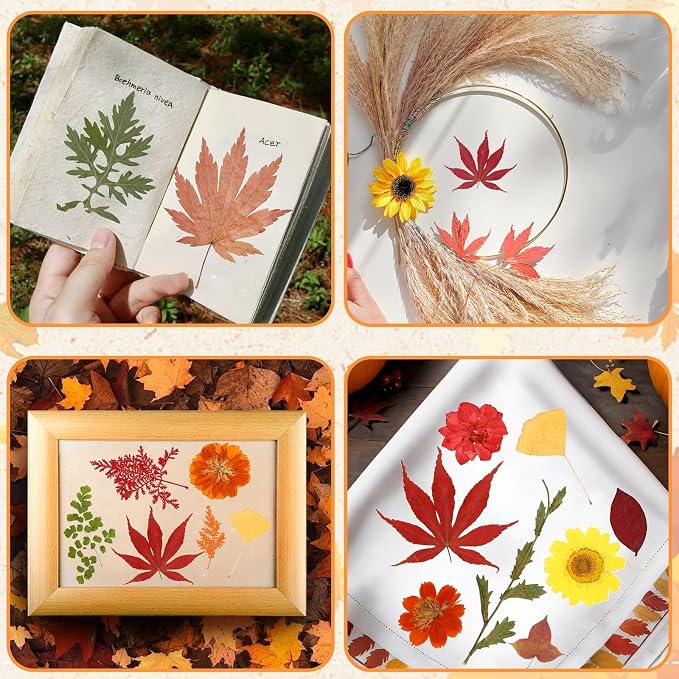 Augshy Fall Dried Pressed Flowers and Leaves for Autumn Crafts Resin DIY