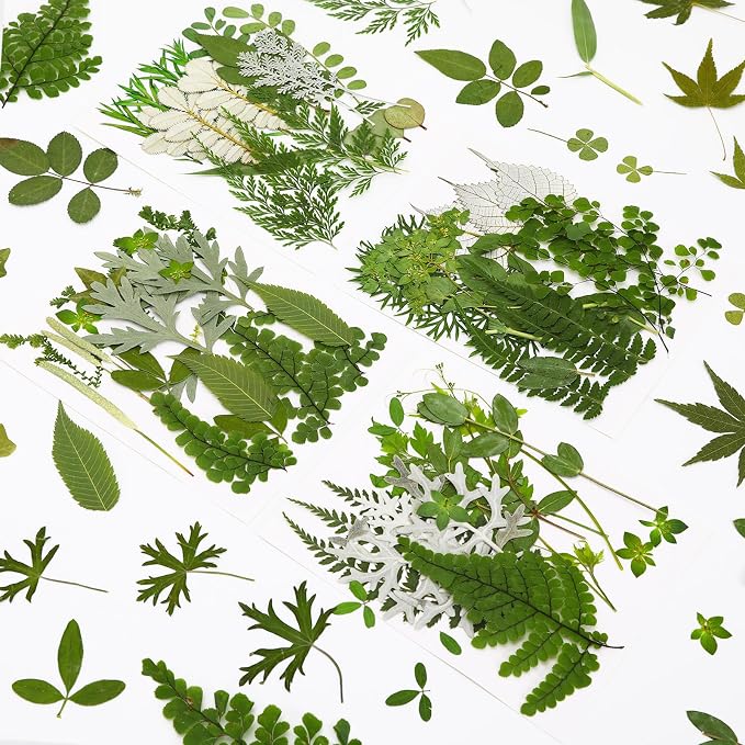 Augshy Pressed Dried Leaves Flowers, 100 Pcs Green Dried Flowers Leaves for Resin Molds Assorted Real Pressed Flowers for Crafts DIY Jewelry Molds, Scrapbooking, Candle