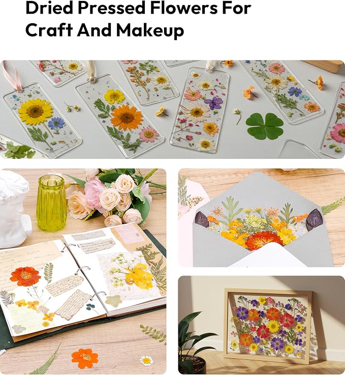 Dried Pressed Flowers, Resiners Dried Flowers for Candle Making Real Natural Pressed Flowers Dry Leaves Kit for DIY Crafts Resin Soap Scrapbook Card Making Jewelry (Gerbera Daisy 100pcs)