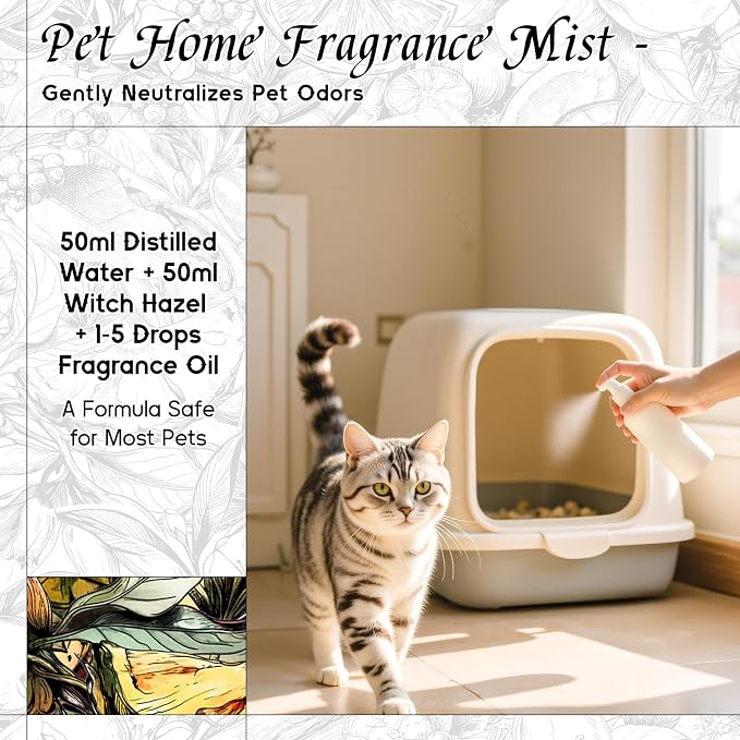 HIQILI Cedar Cologne Fragrance Oil for Diffuser, Candle & Soap Making