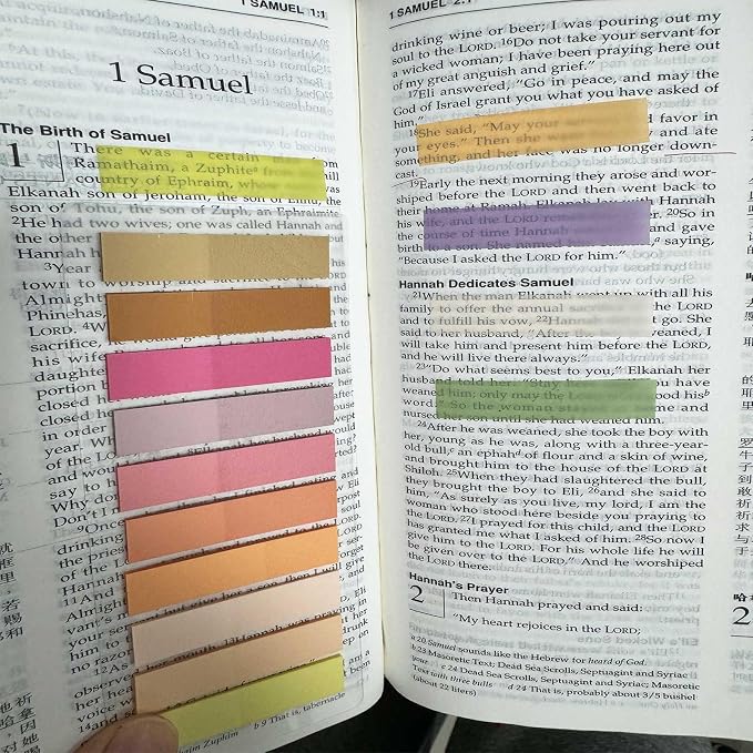 ELII 6000pcs Books Tabs for Annotating Page Tabs Morandi Sticky Index Tabs