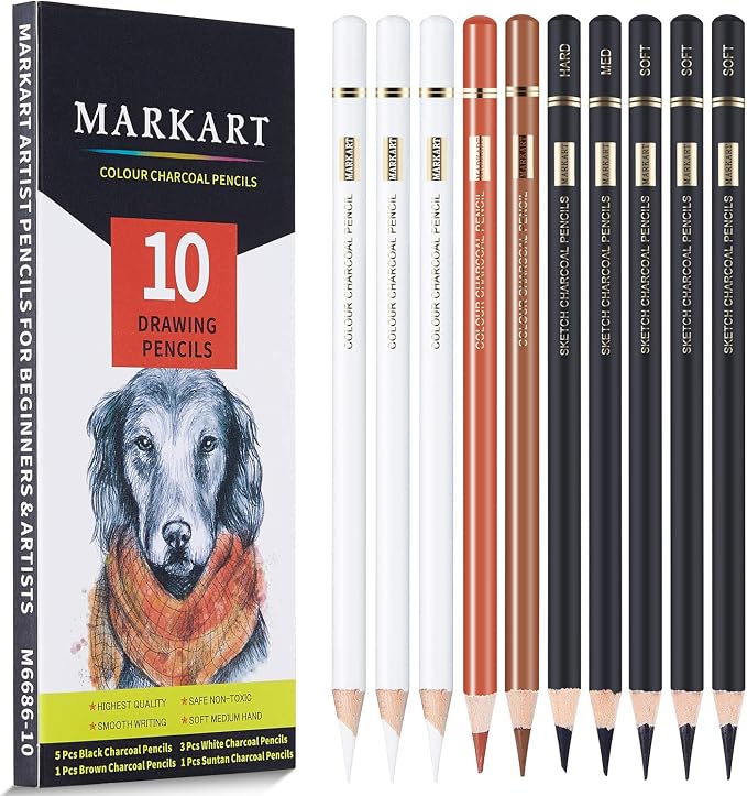 MARKART 10 Pack Professional Charcoal Pencils for Drawing | Black & White Charcoal Pencils for Sketching, Shading, Blending, Portrait, Pastel Chalk Pencils for Beginners & Artists