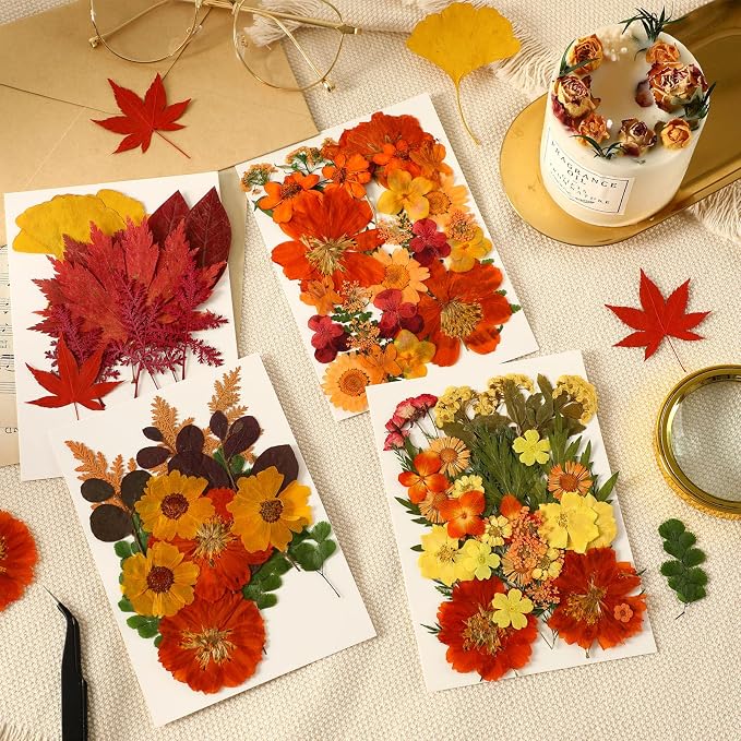 Augshy Fall Dried Pressed Flowers and Leaves for Autumn Crafts Resin DIY