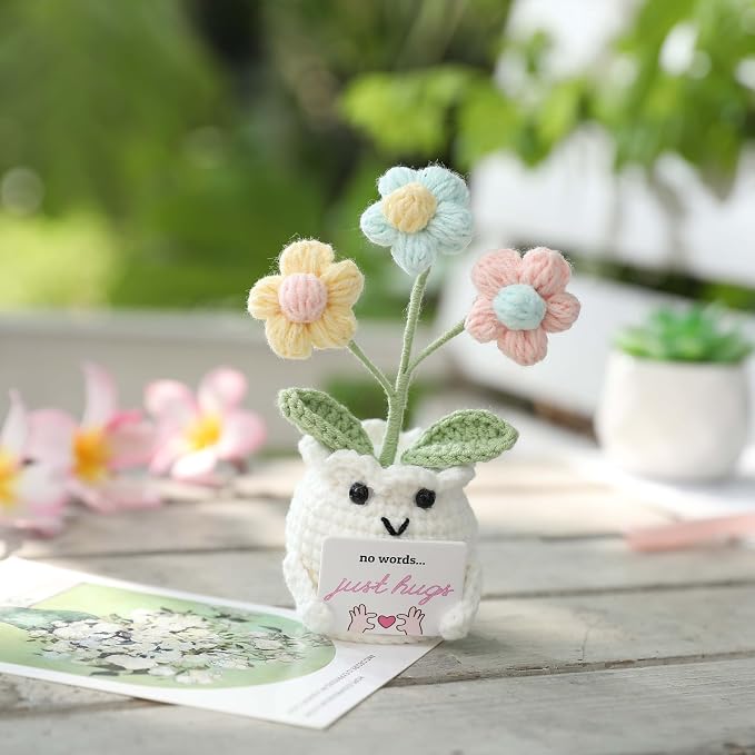 Crochet Sympathy Gifts for Loss of Loved One – No Words, Just Hugs Crochet Puff Flower Plant– Bereavement, Memorial, Get Well Soon, Grief Gift Idea for Loss of Grandpa Grandma Mom Dad