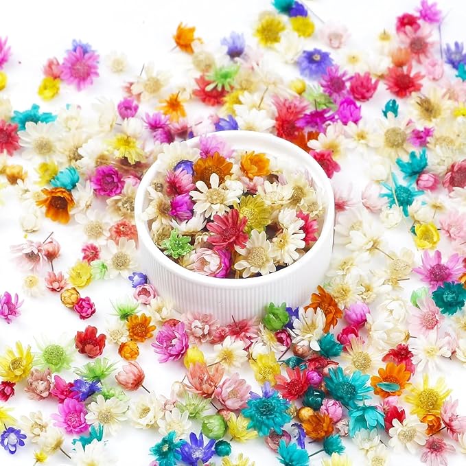 300 PCS Mini Dried Flowers for Resin, Small Dried Flowers for Crafts, Mini-Dried Flower Bulk for Resin Art, Jewelry, Candle Making, Soap Making and DIY Crafts