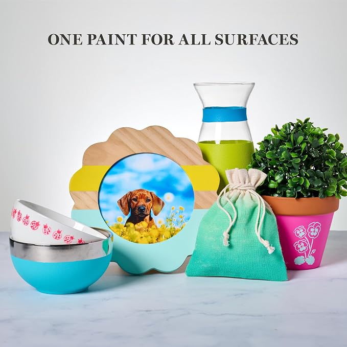 Martha Stewart, Multi-Surface Satin 12 pc Paint Set, Solar Brights