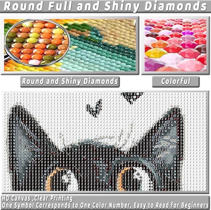 Black Cat Diamond Art Kits for Adults Diamond Painting Kit for Beginner