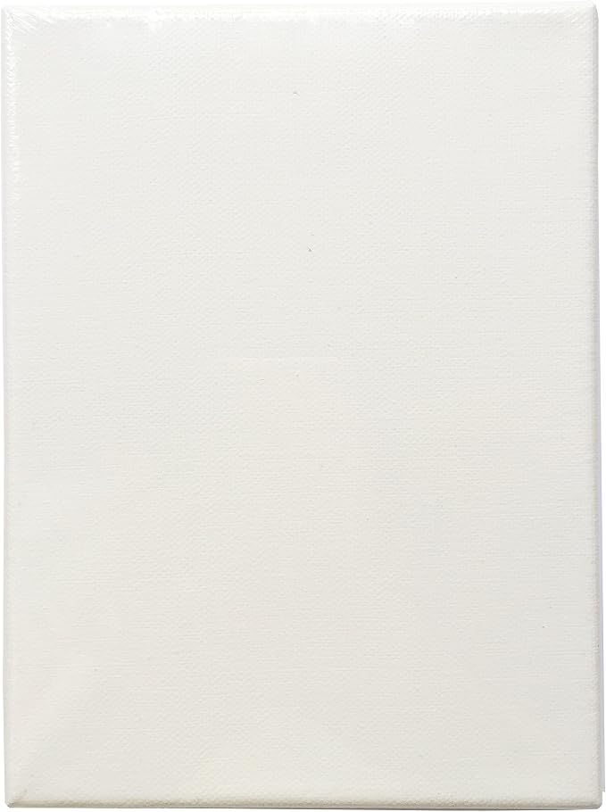 LWR CRAFTS Stretched Canvas 6" X 8" Pack of 6