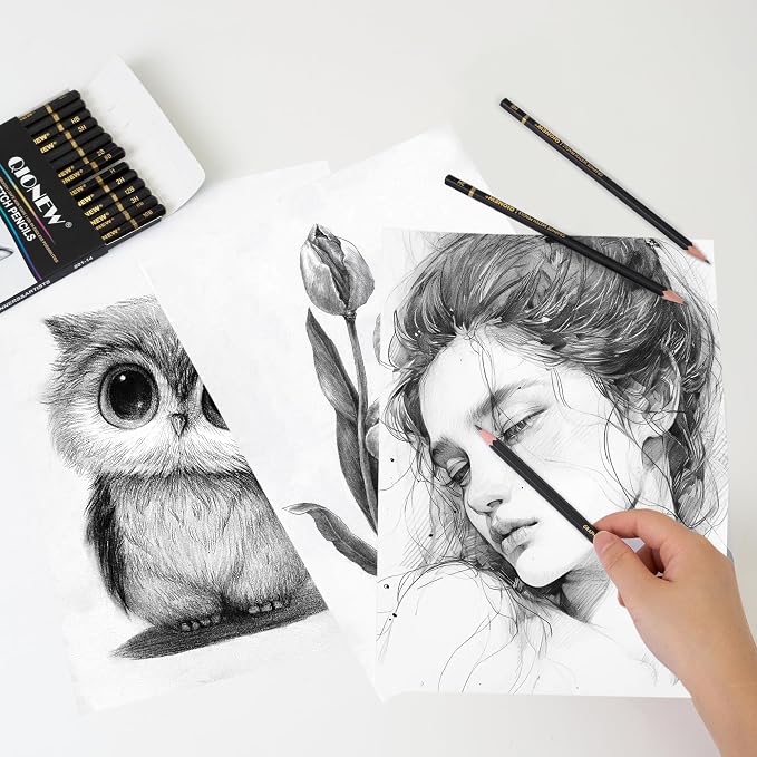 Qionew Professional Sketching Pencil for Drawing,14 Pack, Graphite Pencils | Drawing Sketching Pencil Set, 12B-5H, Art Pencils for Drawing and Shading, Sketching, Ideal for Beginners & Pro Artists