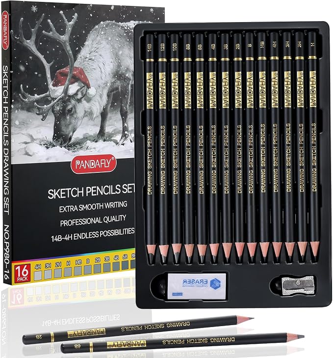PANDAFLY Drawing Sketch Pencil Set, 16 Piece, 4H to 14B Graphite Pencils | Includes Erasers and Pencil Sharpener, Pro Art Pencil Kit for Drawing, Sketching, Shading, Ideal for Artists and Beginners