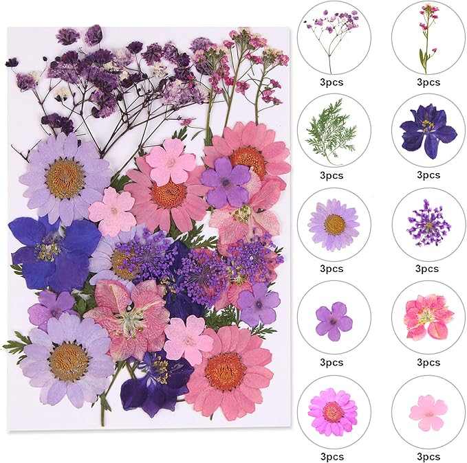 Augshy Dried Pressed Flowers for Resin, Natural Purple Dried Pressed Flowers for Crafts DIY Jewelry Molds, Art Scrapbooking, Candle, Soap Making, Nails Décor