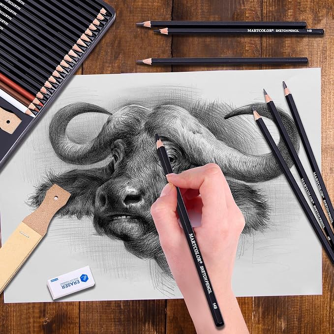 MARTCOLOR Drawing Sketching Pencils Set, 34 Pieces Graphite Pencil (14B-4H) | Pro Art Pencil Kit with Charcoal Pencils, Charcoal Sticks, Artist Pencils for Beginners & Pro Artists