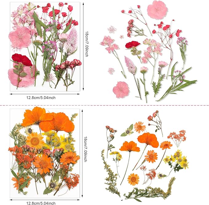 Nuanchu Real Dried Pressed Flowers Wildflower Stem for Resin Mold Craft DIY