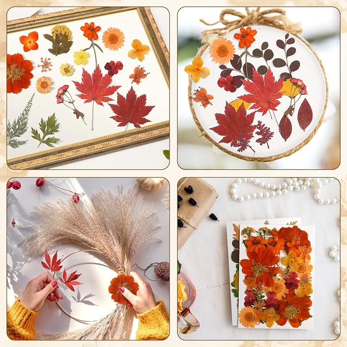 Augshy Fall Dried Pressed Flowers and Leaves for Autumn Crafts Resin DIY