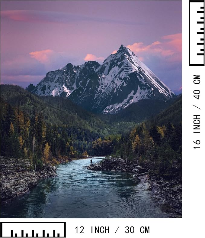 BAISITE Paint by Numbers Kit for Adults Beginners,12" Wx16 L 2 Pack Canvas for Painting Kits for Adults in Colorful Box-PBN219-220-DIY Frame
