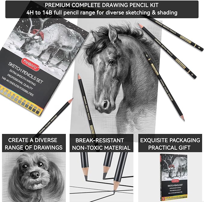 PANDAFLY Drawing Sketch Pencil Set, 16 Piece, 4H to 14B Graphite Pencils | Includes Erasers and Pencil Sharpener, Pro Art Pencil Kit for Drawing, Sketching, Shading, Ideal for Artists and Beginners