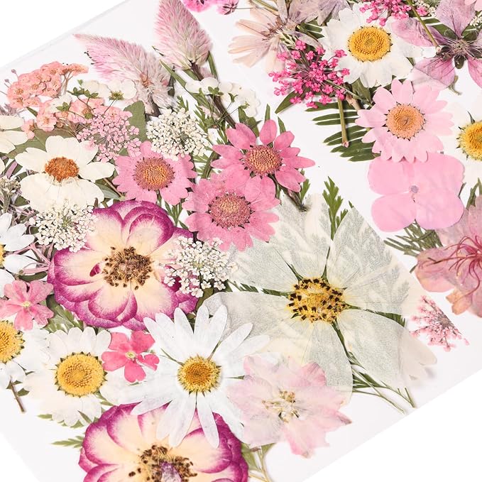 80PCS Pink Pressed Dried Flowers Dry Leaves with Tweezers