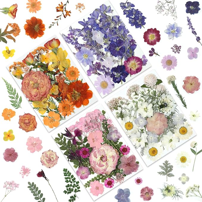 LUXEEASE 4-Color 80P Natural Dried Pressed Flowers