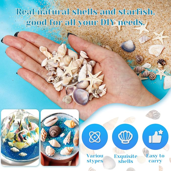 1200 Pieces Tiny Sea Shells Small Natural Starfish Mixed Ocean Beach Spiral Seashells for Home Decorations,Wedding Decor,Candle Making,Beach Theme Party,DIY Crafts and Vase Filler