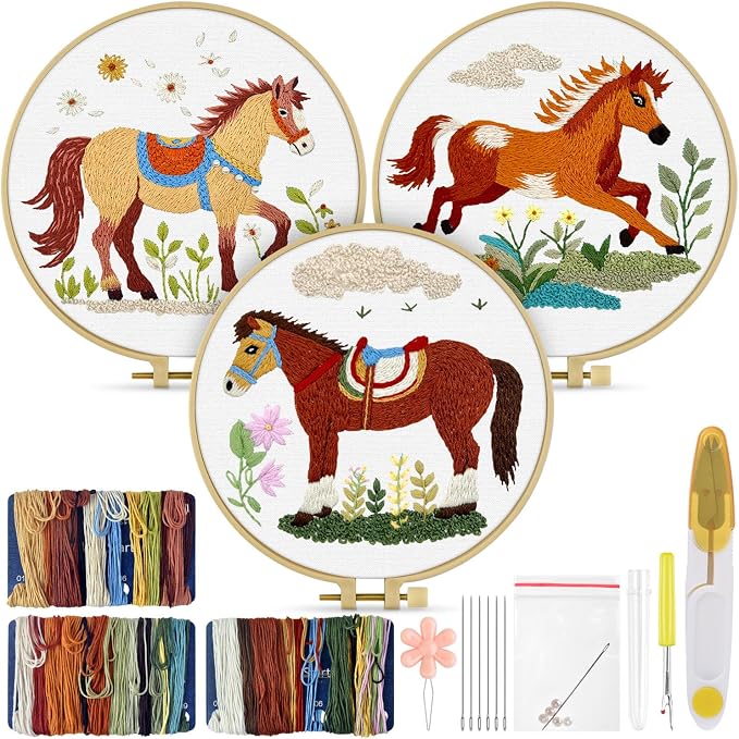 TINDTOP Embroidery Kit for Adult, 3 Pack Embroidery DIY Starter Kit