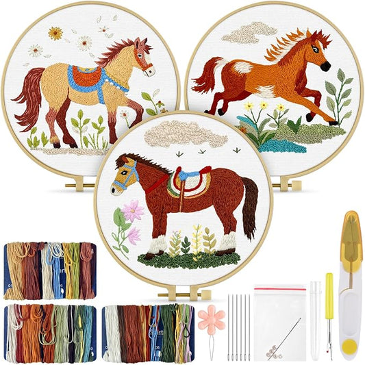 TINDTOP Embroidery Kit for Adult, 3 Pack Embroidery DIY Starter Kit