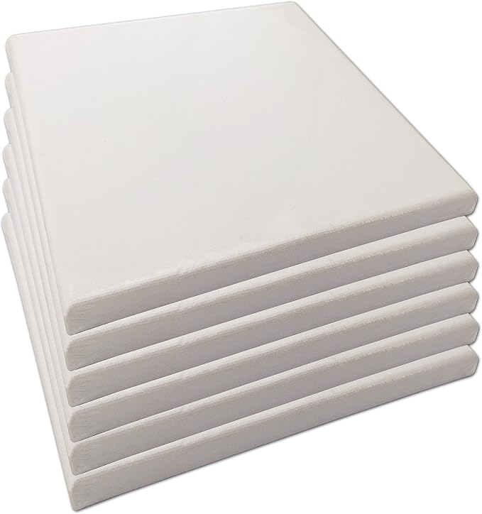 LWR CRAFTS Stretched Canvas 8" X 8" Pack of 6