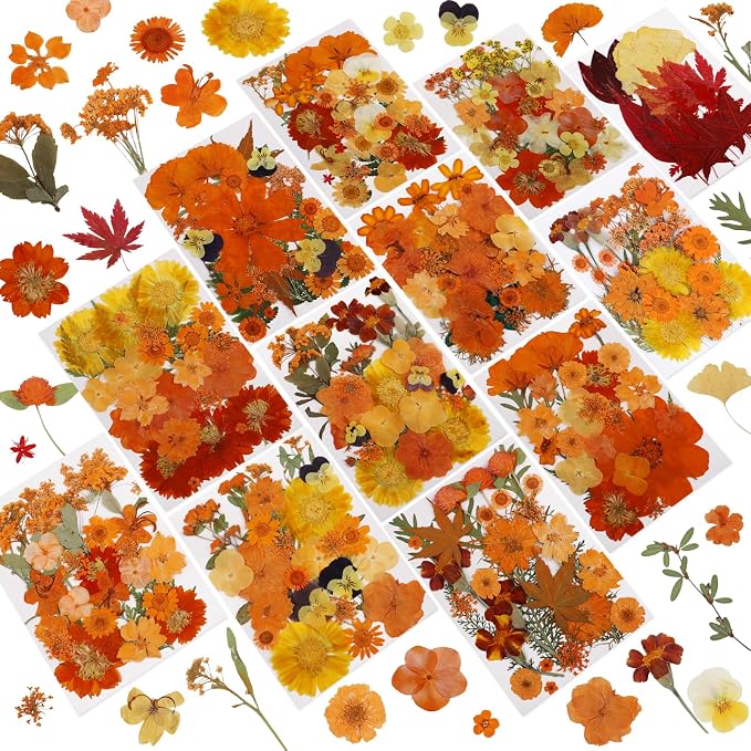 NESCCI 350 Pcs Orange Fall Dried Flowers for Crafts,Real Nature Dried Flowers for Craft Bulk Dry Flowers Leaves Kit Used for Resin Molds Scrapbooking DIY Art Crafts Candle Soap Making Nails Décor