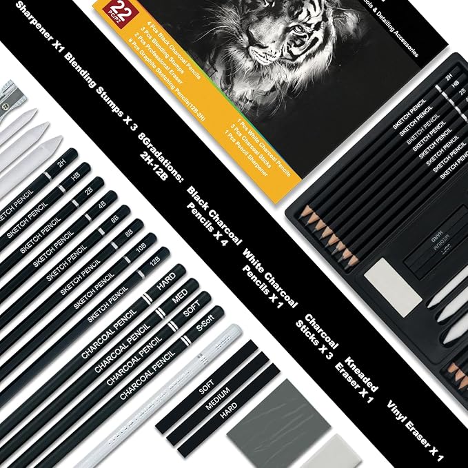 Aenir Charcoal Pencils for Drawing, Set of 22, Professional Drawing Sketch Pencils, Charcoal Art Supplies for Sketching, Shading, Artist Charcoal Supplies for Beginners & Pro Artists. (Pack of 2)