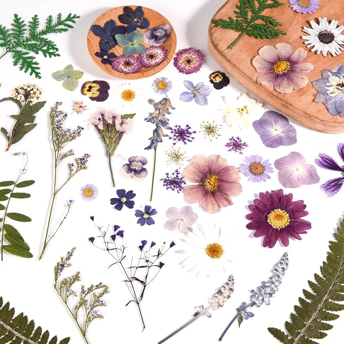 80PCS Pressed Dried Flowers & Leaves, Natural Color