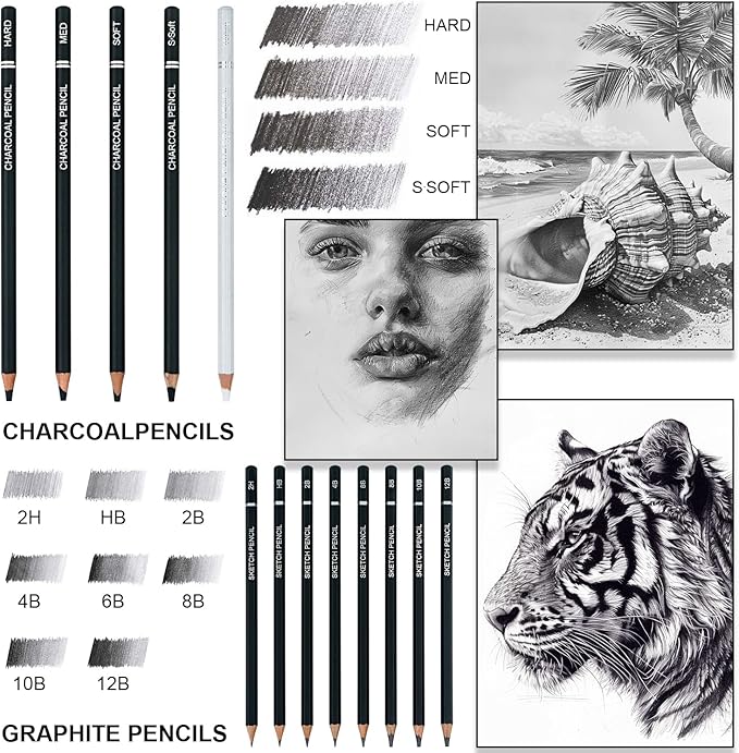 Aenir Charcoal Pencils for Drawing, Set of 22, Professional Drawing Sketch Pencils, Charcoal Art Supplies for Sketching, Shading, Artist Charcoal Supplies for Beginners & Pro Artists. (Pack of 2)