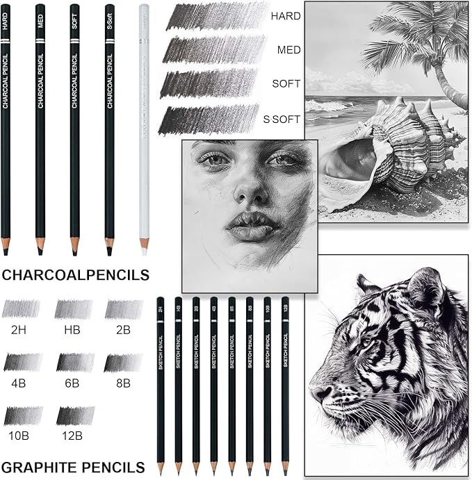 Aenir Charcoal Pencils for Drawing, 22-Piece Sketch Pencils for Drawing Set | Drawing Pencils for Sketching, Shading, Charcoal Art Supplies for Kids, Teens, Adults, Art Students, Beginners & Pro Artists.