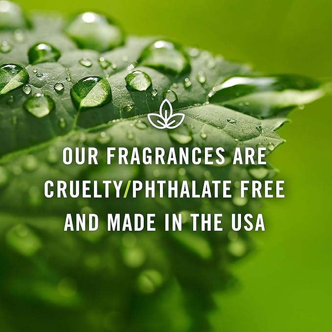P&J Fragrance Oil - Fresh Cut Wood 30ml - Candle Scents, Soap Making, Diffuser Oil, Perfume Making Supplies