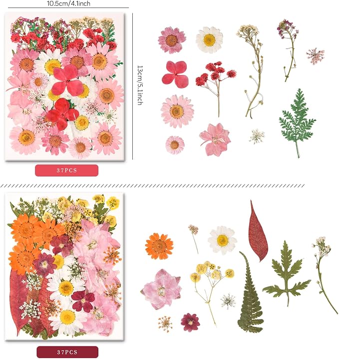 330PCS Natural Color Pressed Dried Flowers for DIY Crafts Corlor-9