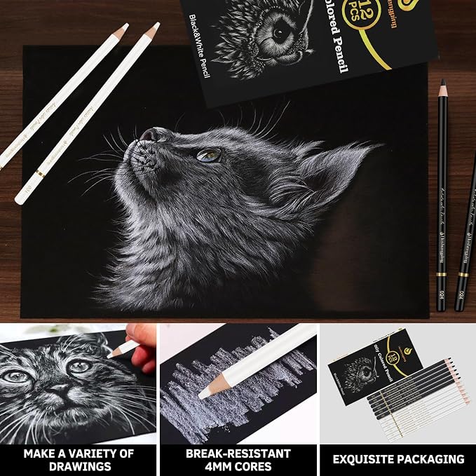 White and Black Color Pencils Drawing Set, 6 pcs White and 6 pcs Black Colored Sketching Pencils for Drawing, Sketching, Shading, Blending for Beginners & Artists