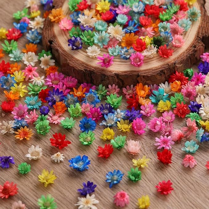 420Pcs Dried Flower for Crafts, Mini Dried Flowers for Resin, Tiny Natural Real Dried Pressed Flowers Bulk for DIY Jewelry Earrings Epoxy Molds, Candles Soap Making