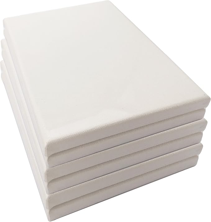 LWR CRAFTS Stretched Canvas 6" X 8" Pack of 6