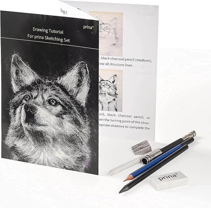 Prina 50 Pack Drawing Set Sketch Kit, Sketching Supplies with 3-Color Sketchbook, Graphite, and Charcoal Pencils, Pro Art Drawing Kit for Artists Adults Teens Beginner Kid, Ideal for Shading, Blending