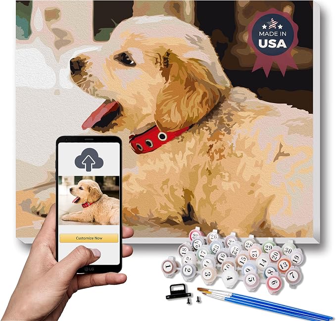 TEXTURE OF DREAMS Personalized Paint by Numbers Kit for Adults, DIY Acrylic Painting Oil Painting on Framed & Stretched Canvas, Customized Paint by Numbers Set Painting for Beginners (24" x 24")
